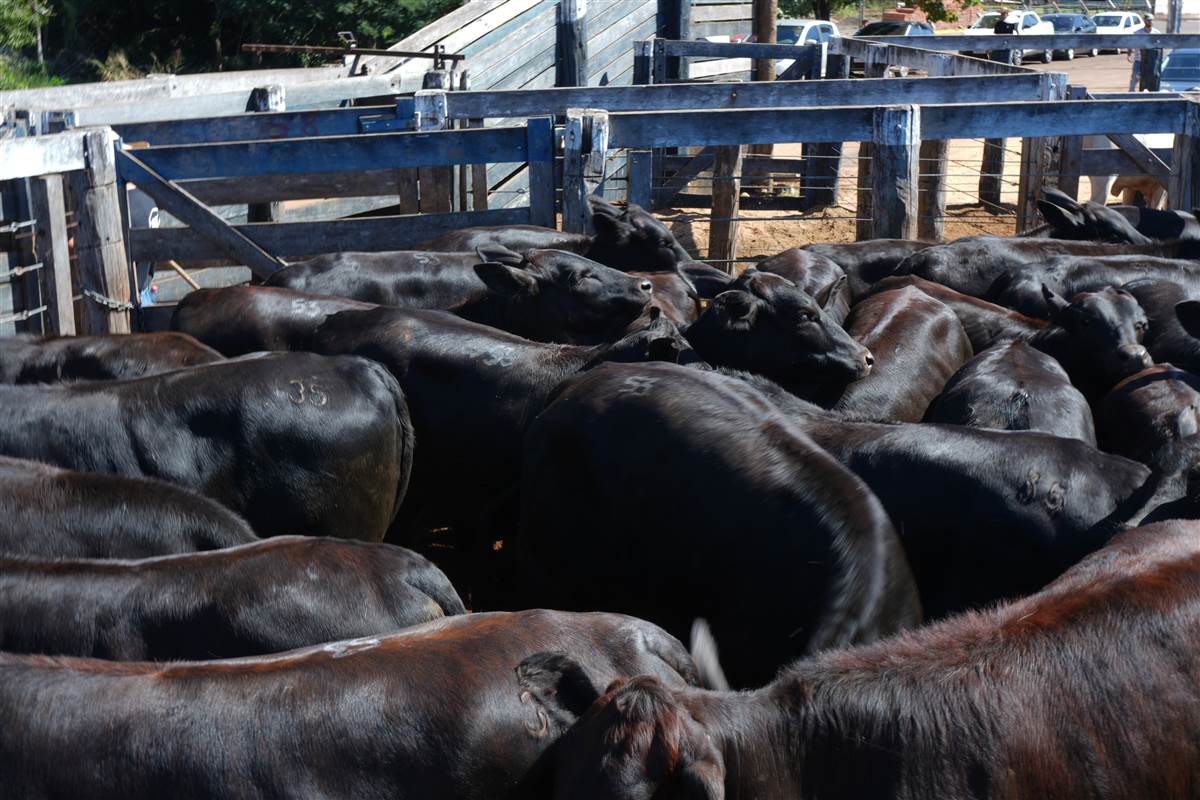 Clique para ver - Foto 1