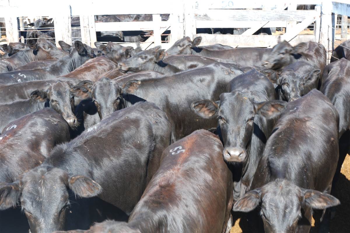 Clique para ver - Foto 1