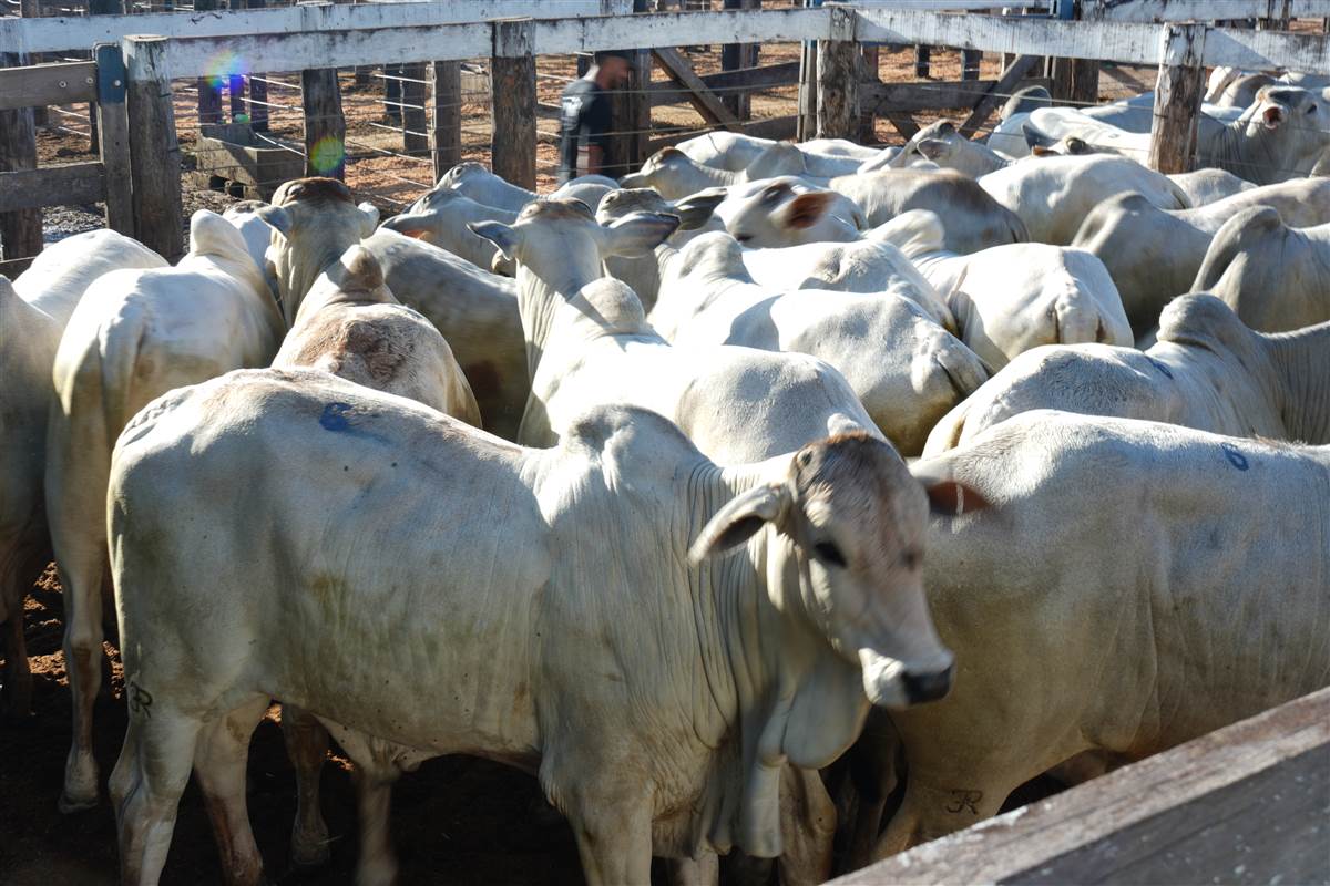 Clique para ver - Foto 0