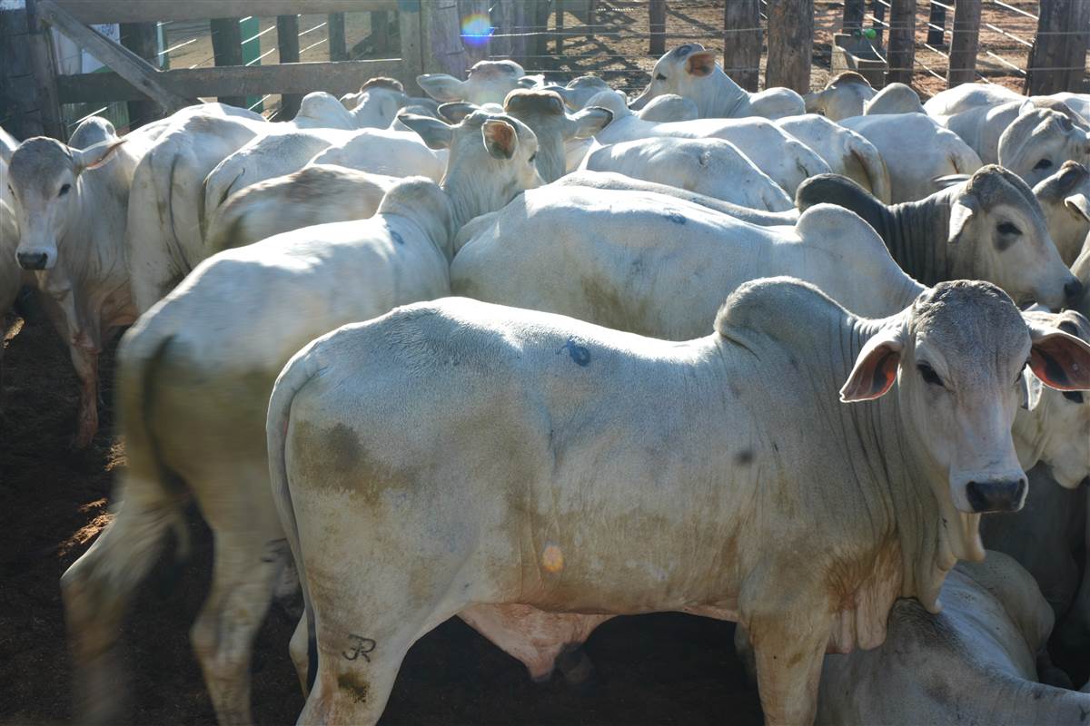 Clique para ver - Foto 1