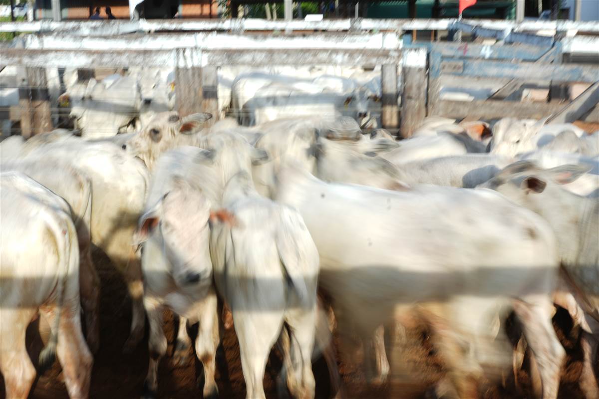 Clique para ver - Foto 1