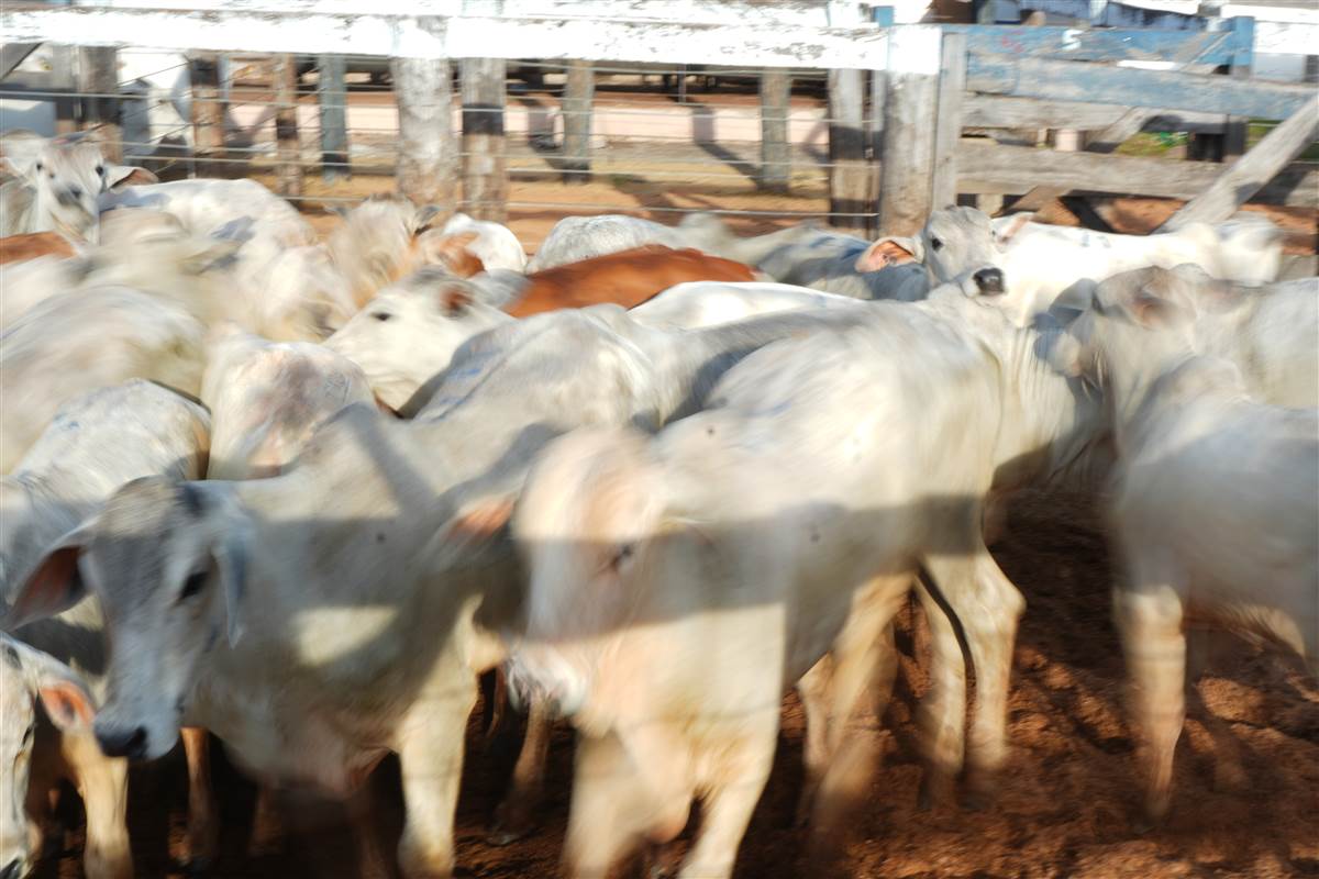 Clique para ver - Foto 1