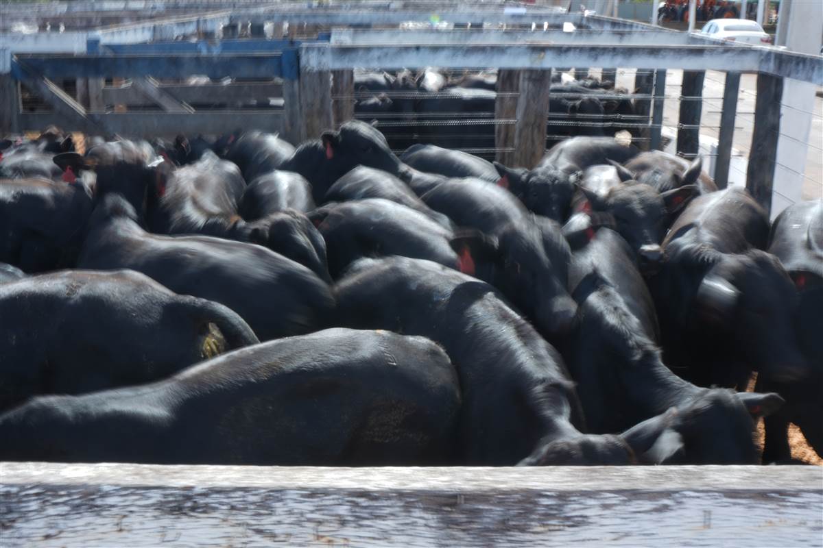 Clique para ver - Foto 1