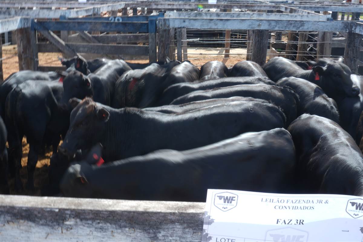 Clique para ver - Foto 1