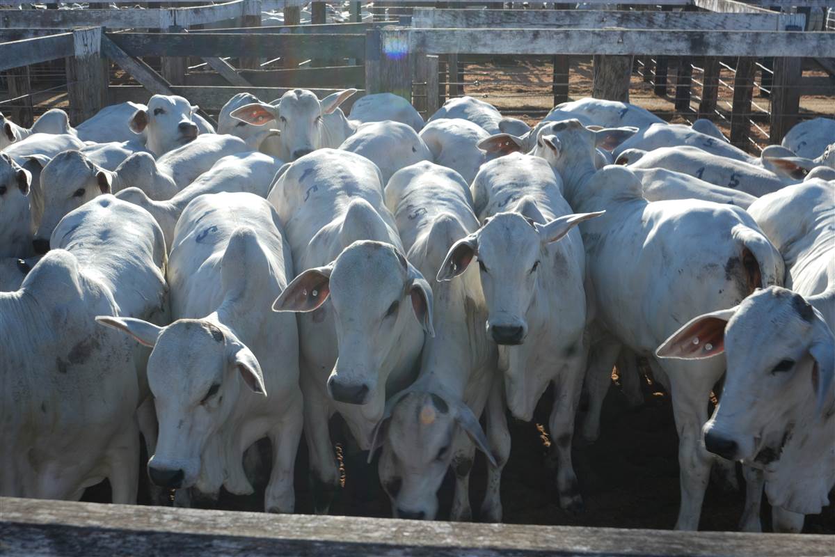 Clique para ver - Foto 1