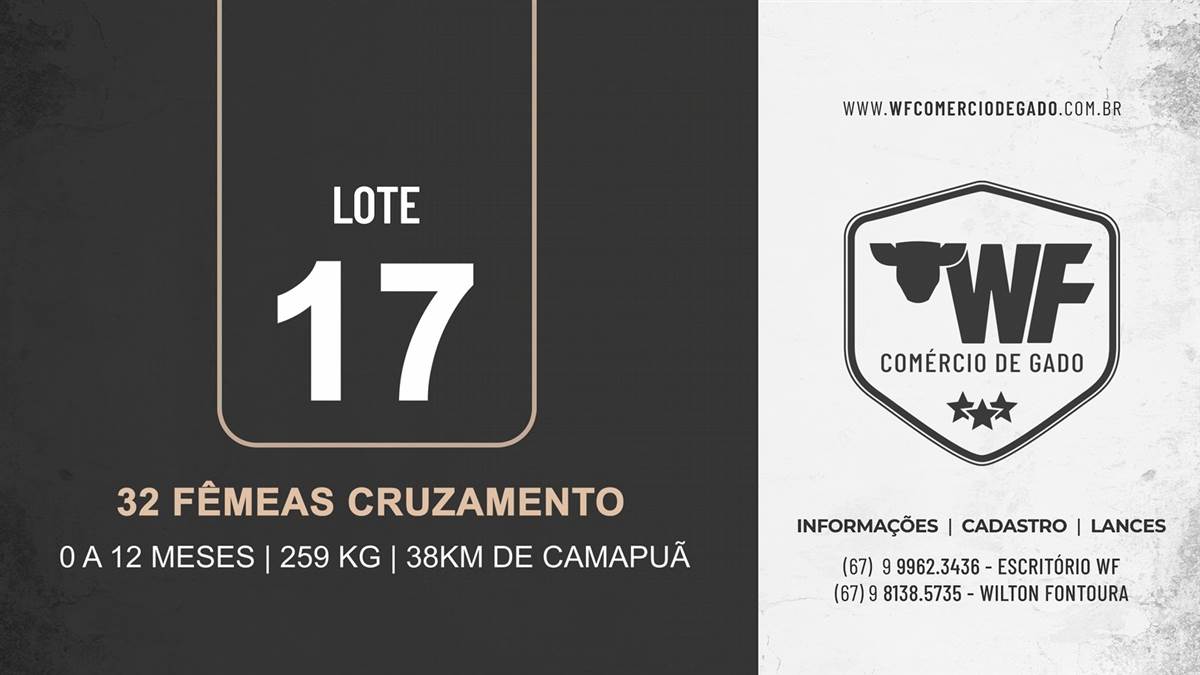 17