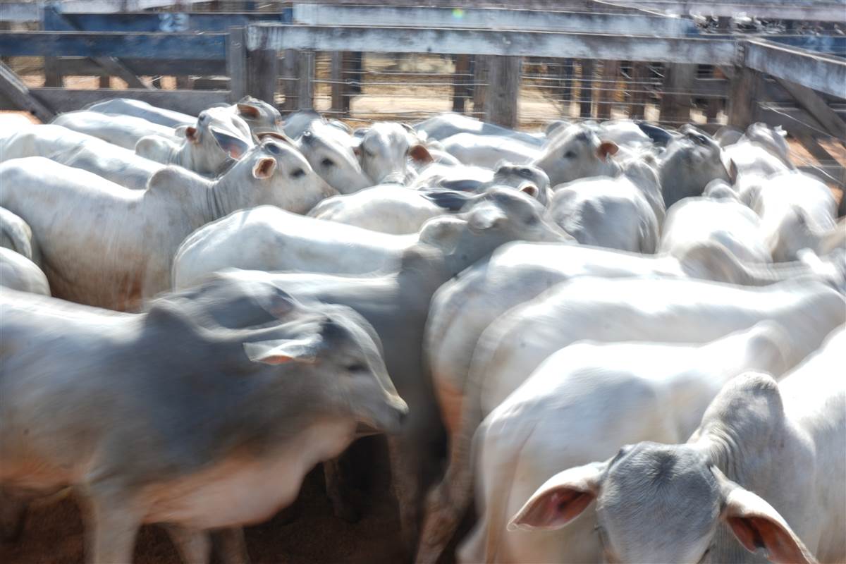 Clique para ver - Foto 1