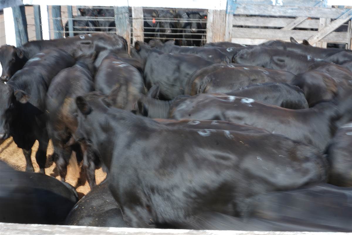 Clique para ver - Foto 1