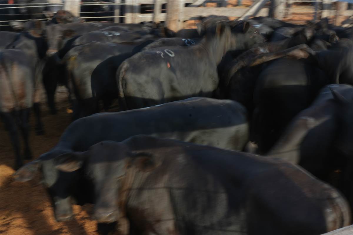 Clique para ver - Foto 0