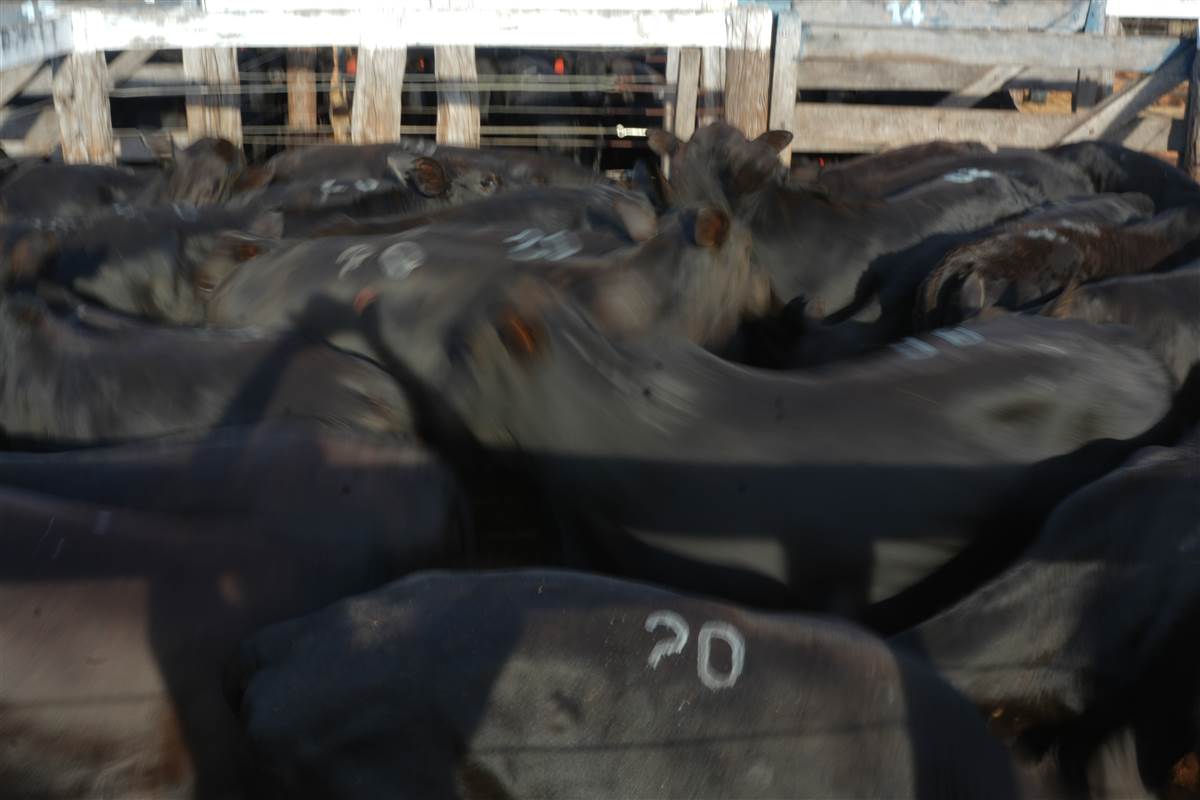 Clique para ver - Foto 1