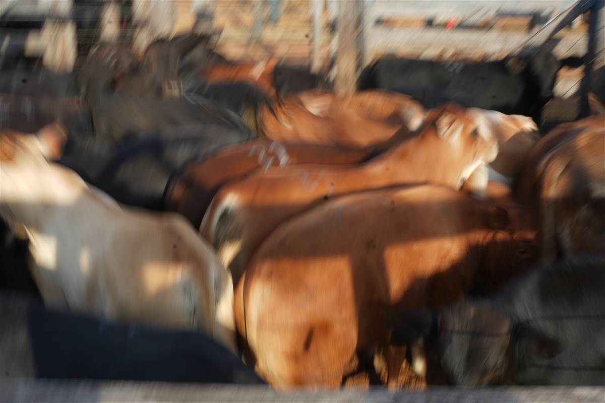 Clique para ver - Foto 1