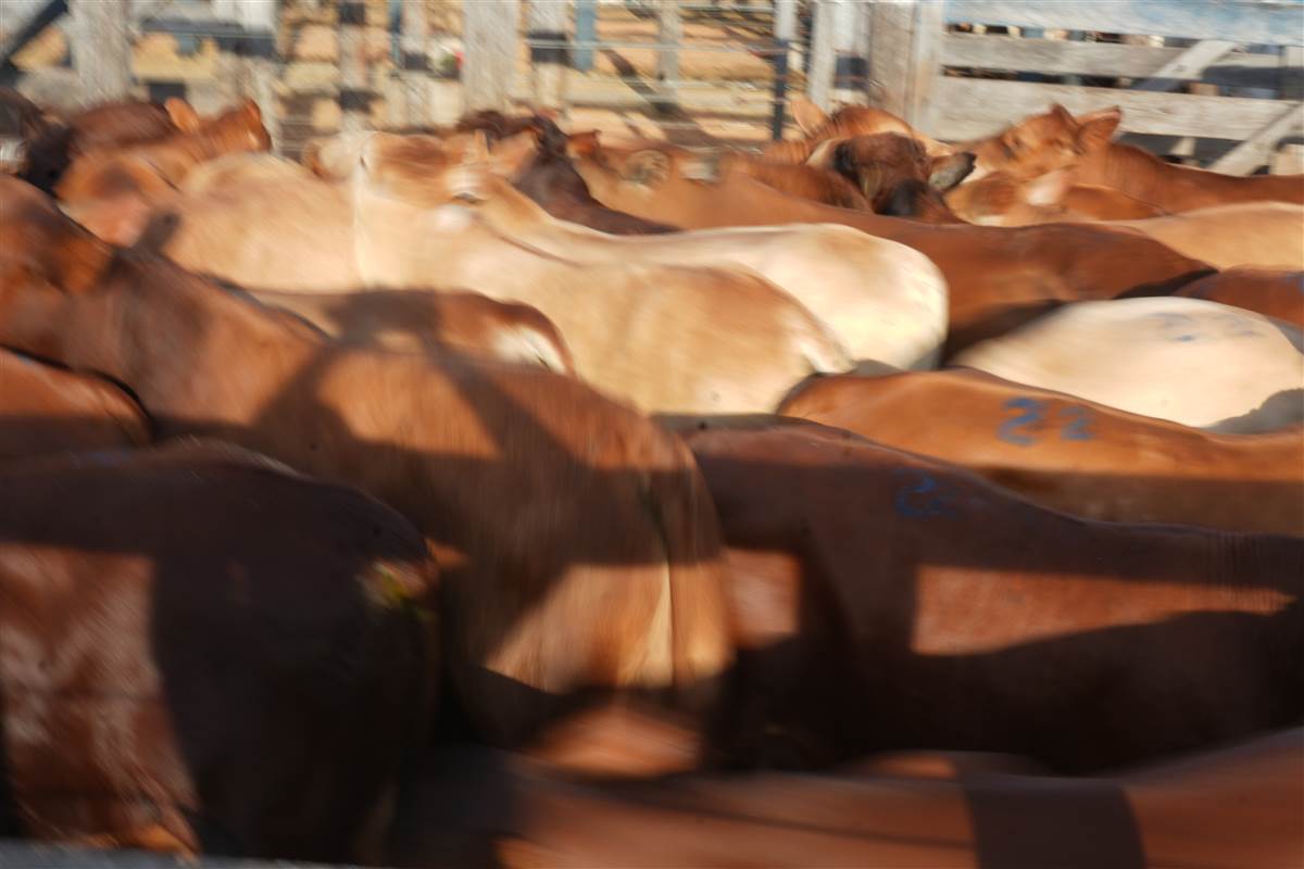 Clique para ver - Foto 1