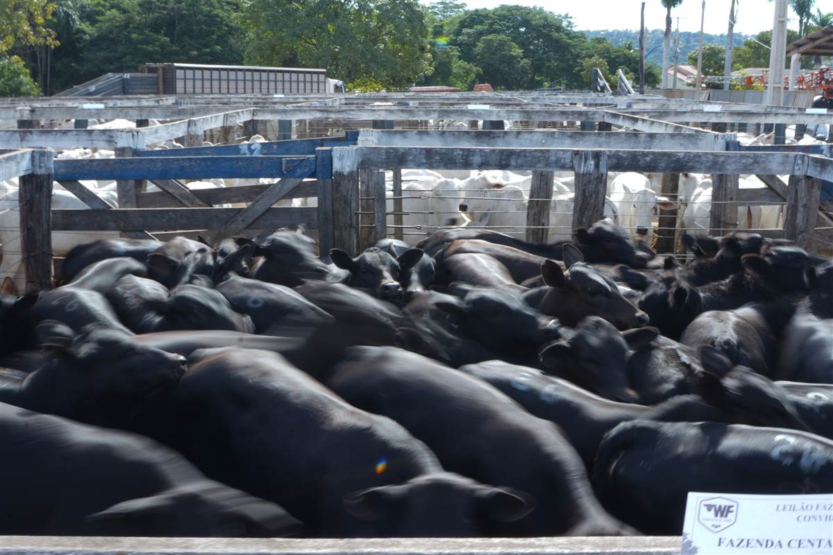 Clique para ver - Foto 1