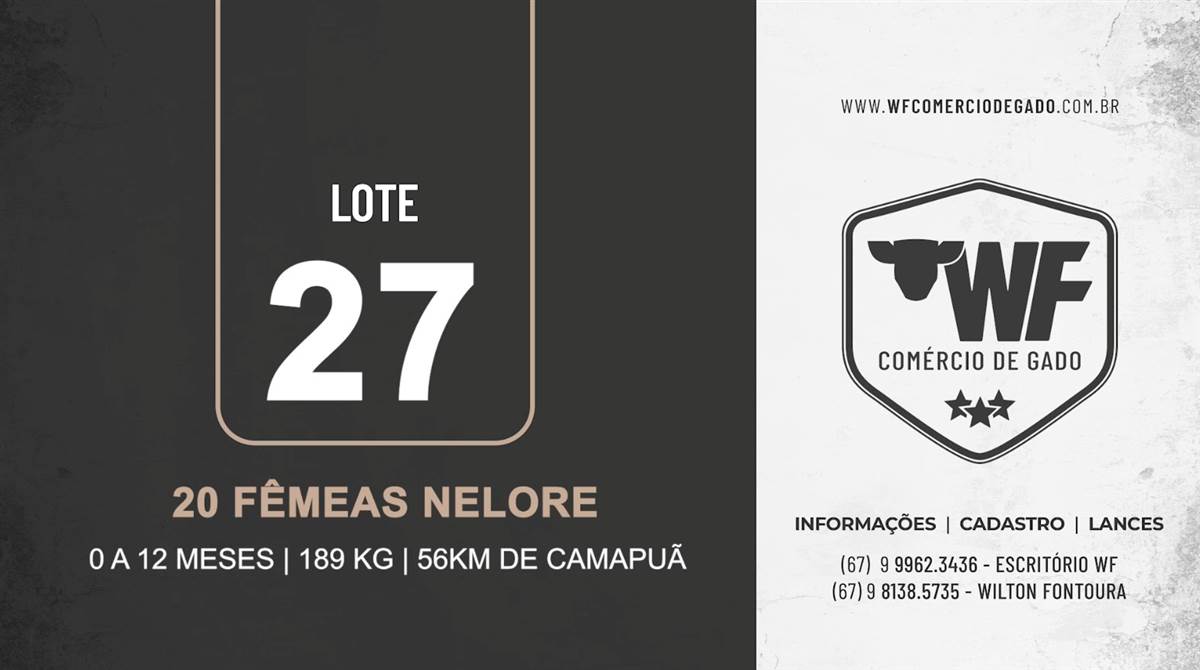 27