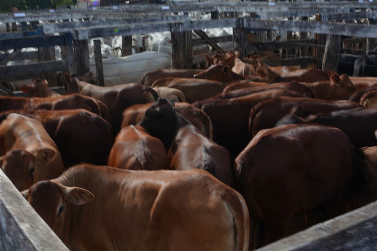 Clique para ver - Foto 0