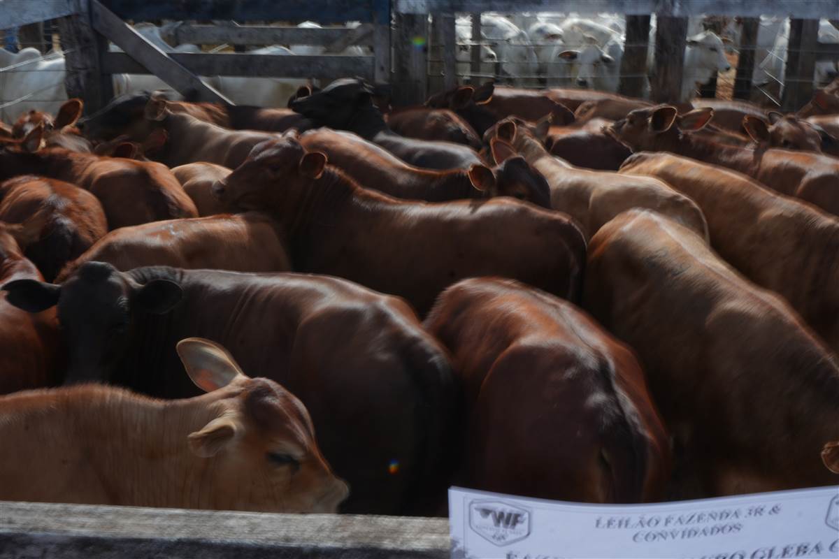 Clique para ver - Foto 1