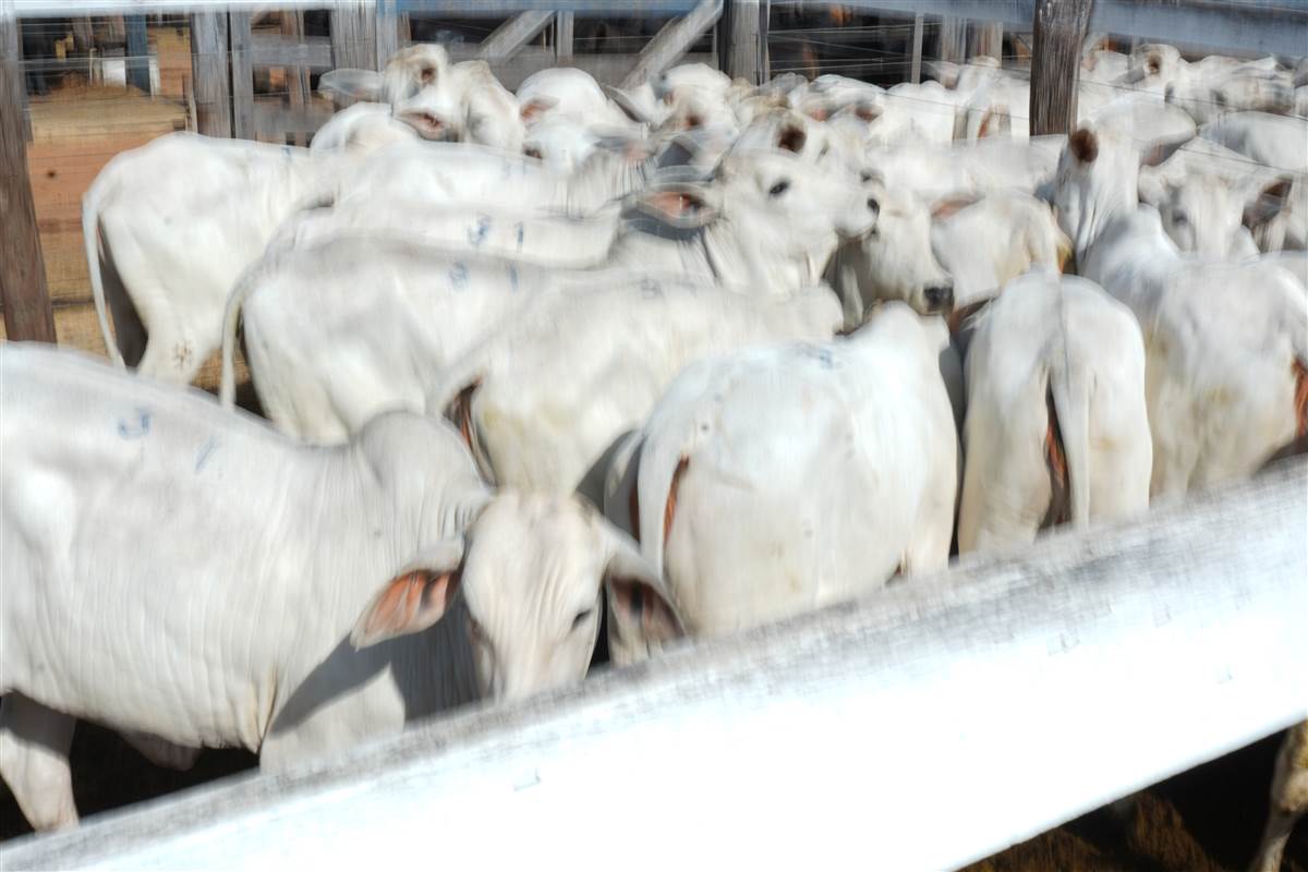 Clique para ver - Foto 0