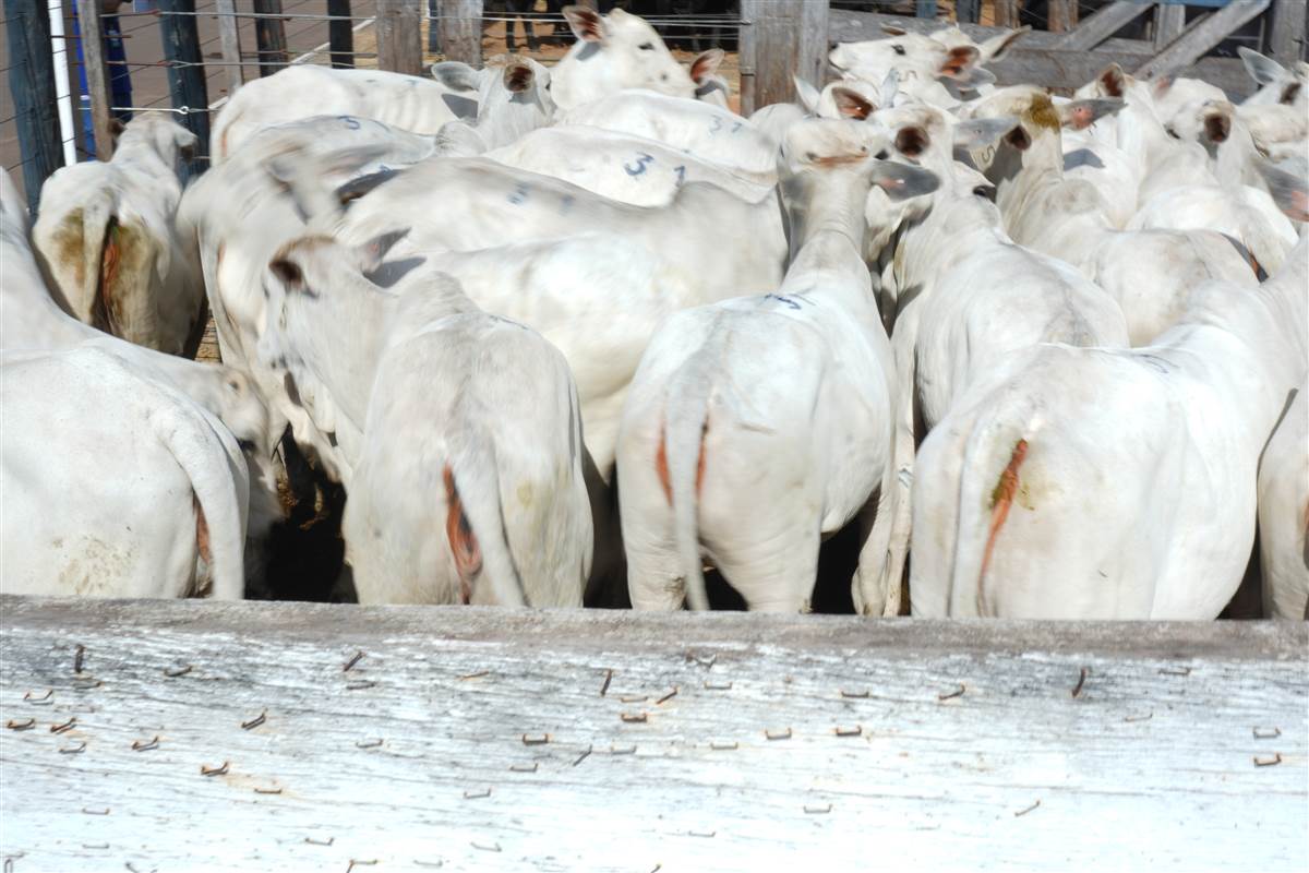 Clique para ver - Foto 1