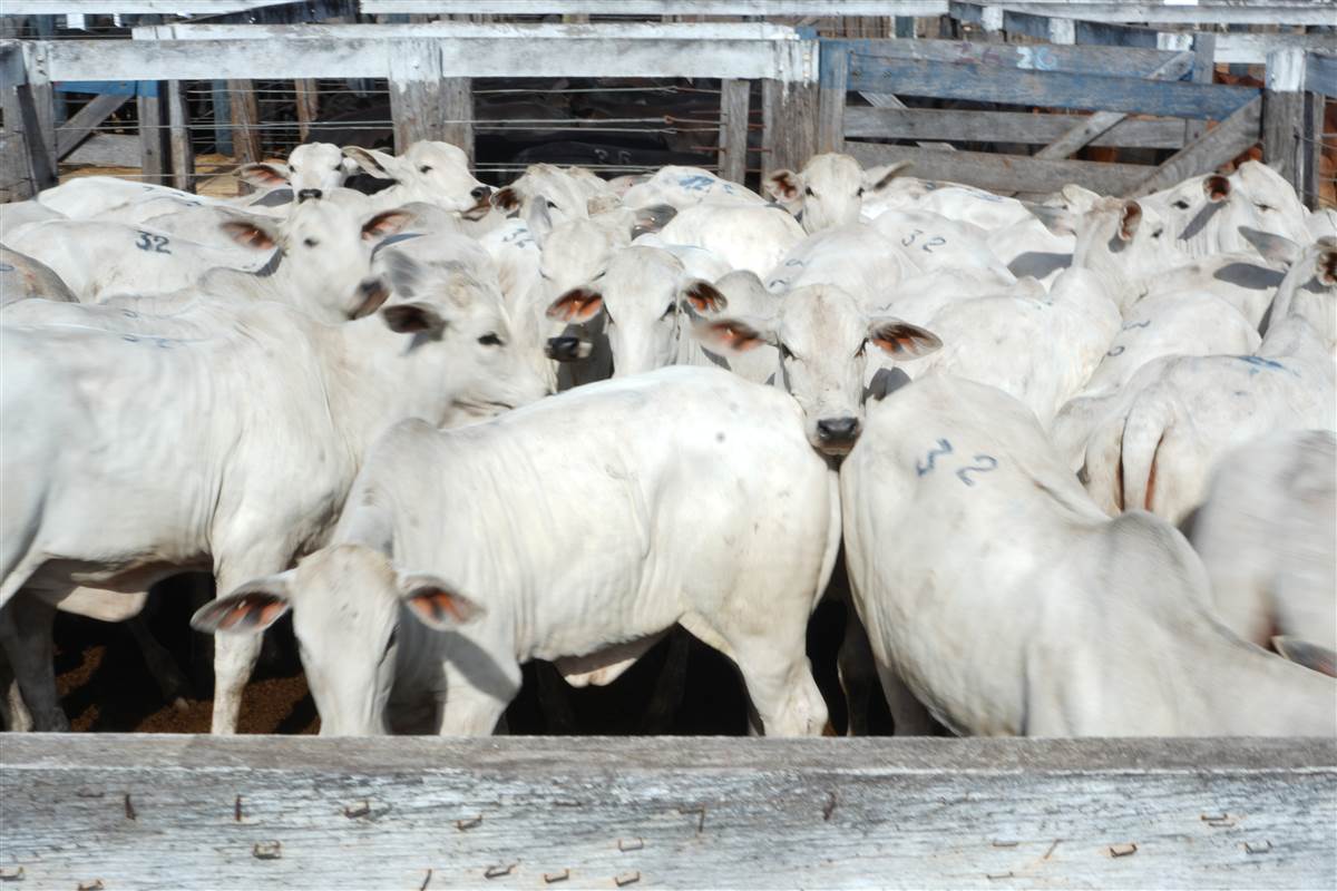 Clique para ver - Foto 1