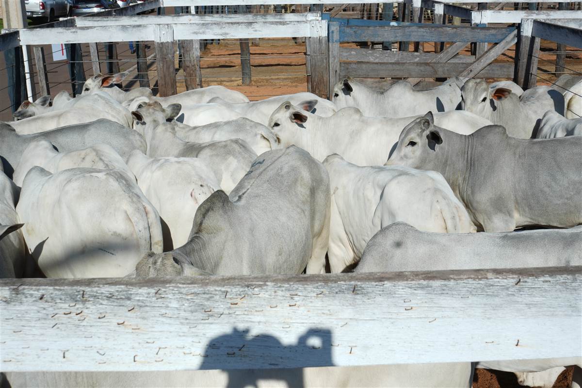 Clique para ver - Foto 1