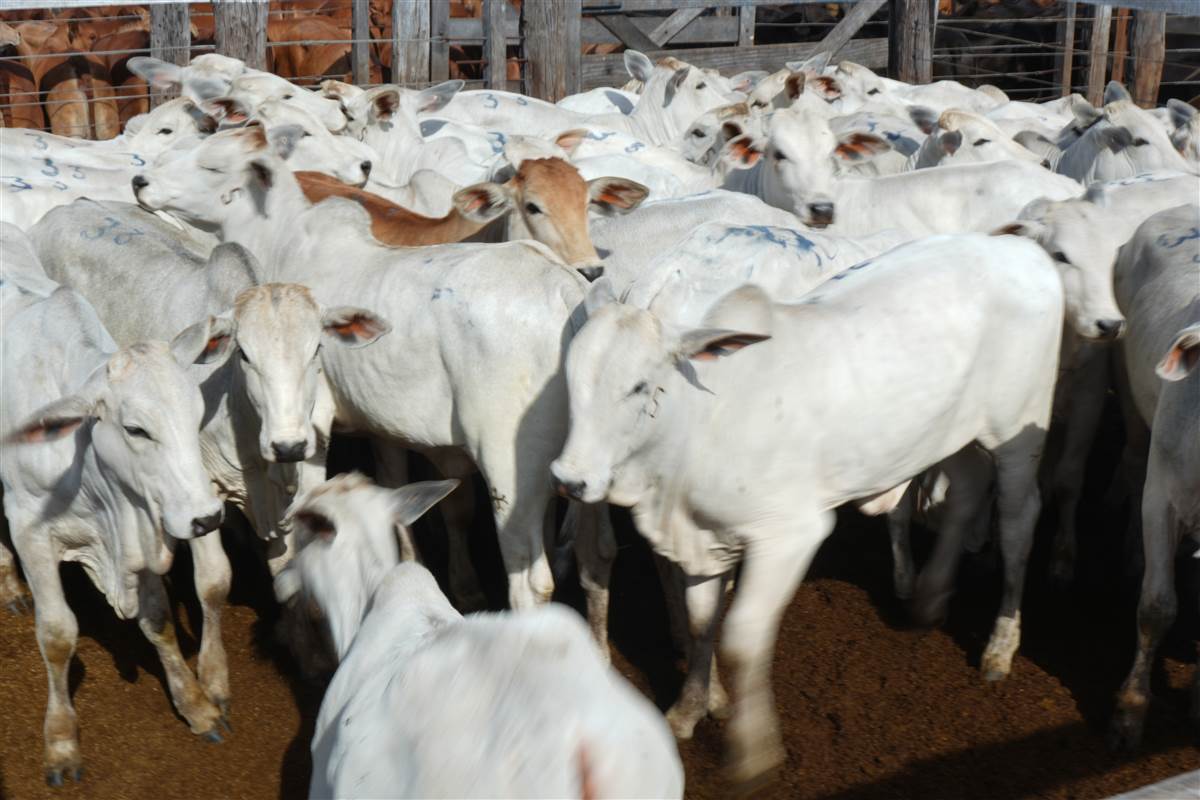 Clique para ver - Foto 0