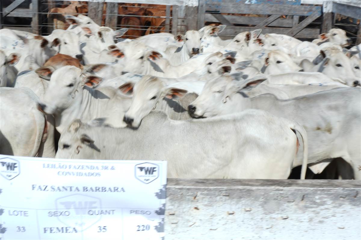 Clique para ver - Foto 1