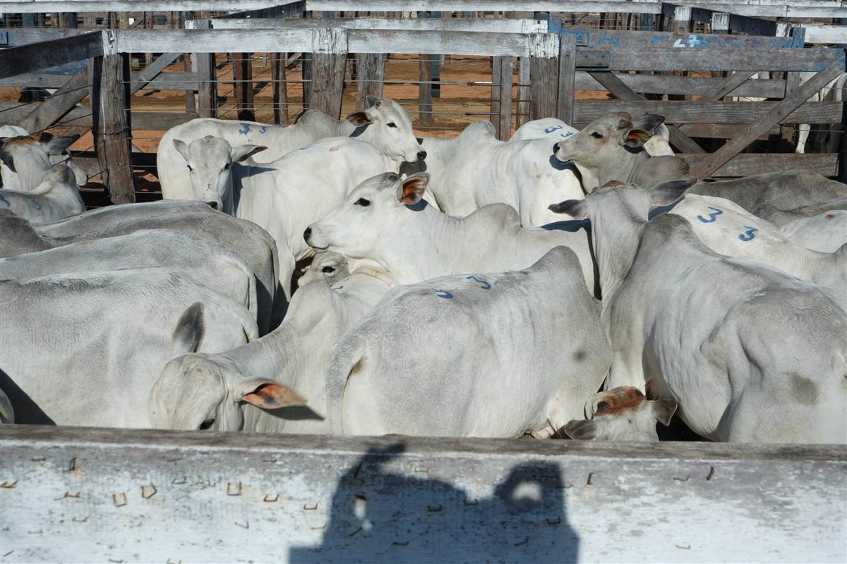 Clique para ver - Foto 1