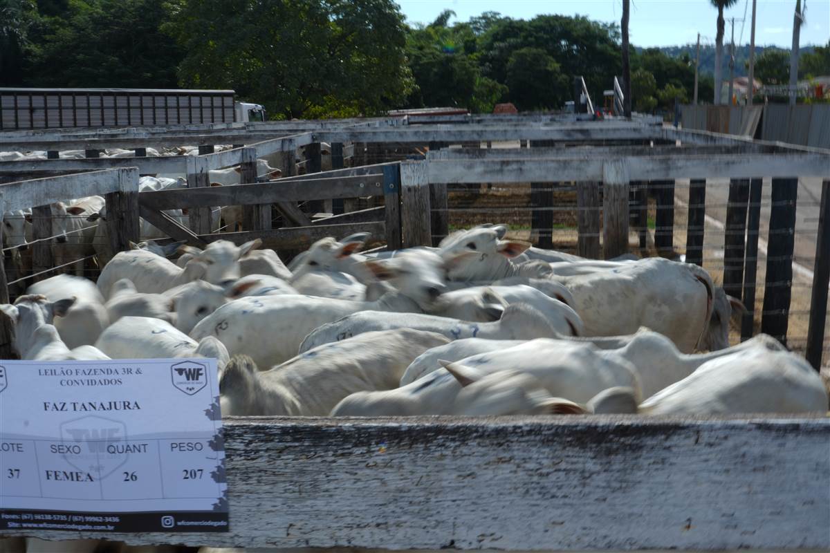 Clique para ver - Foto 1