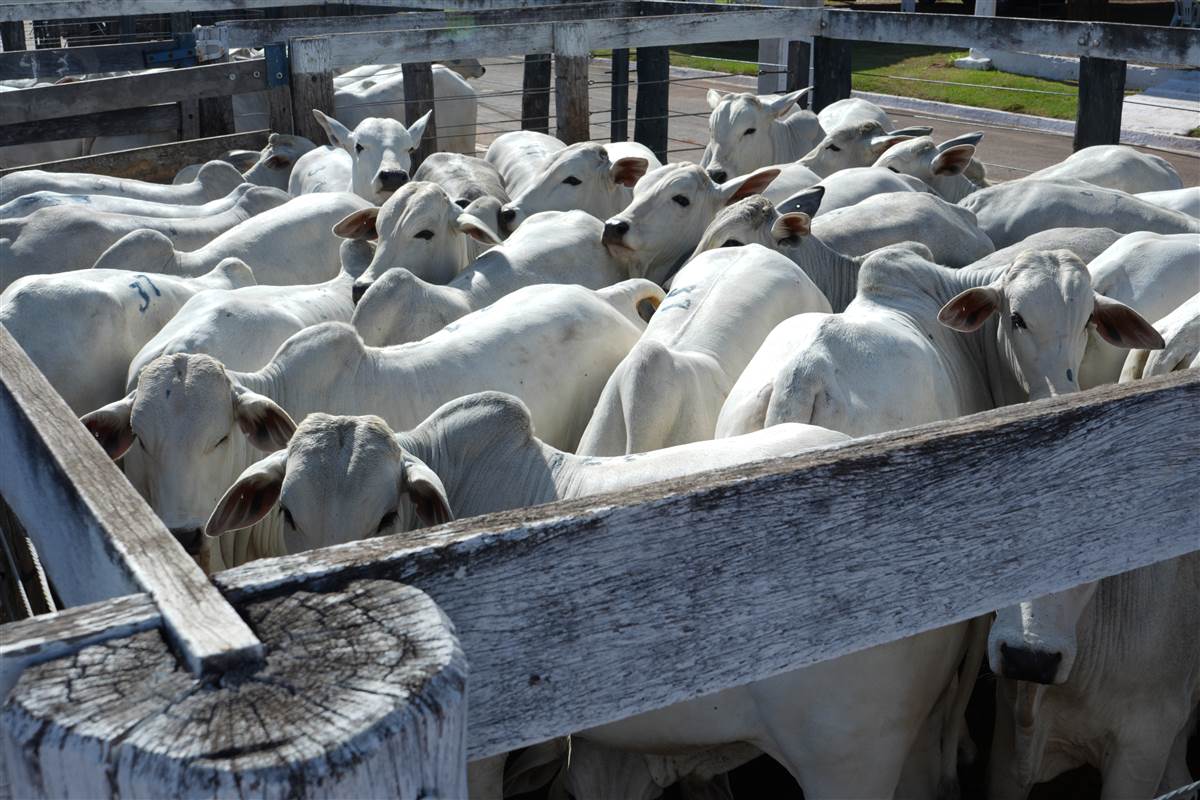 Clique para ver - Foto 0