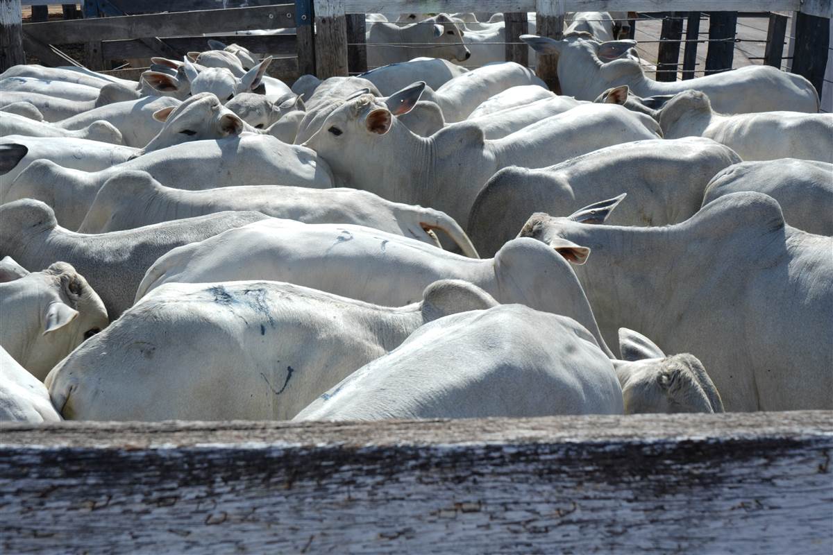 Clique para ver - Foto 1