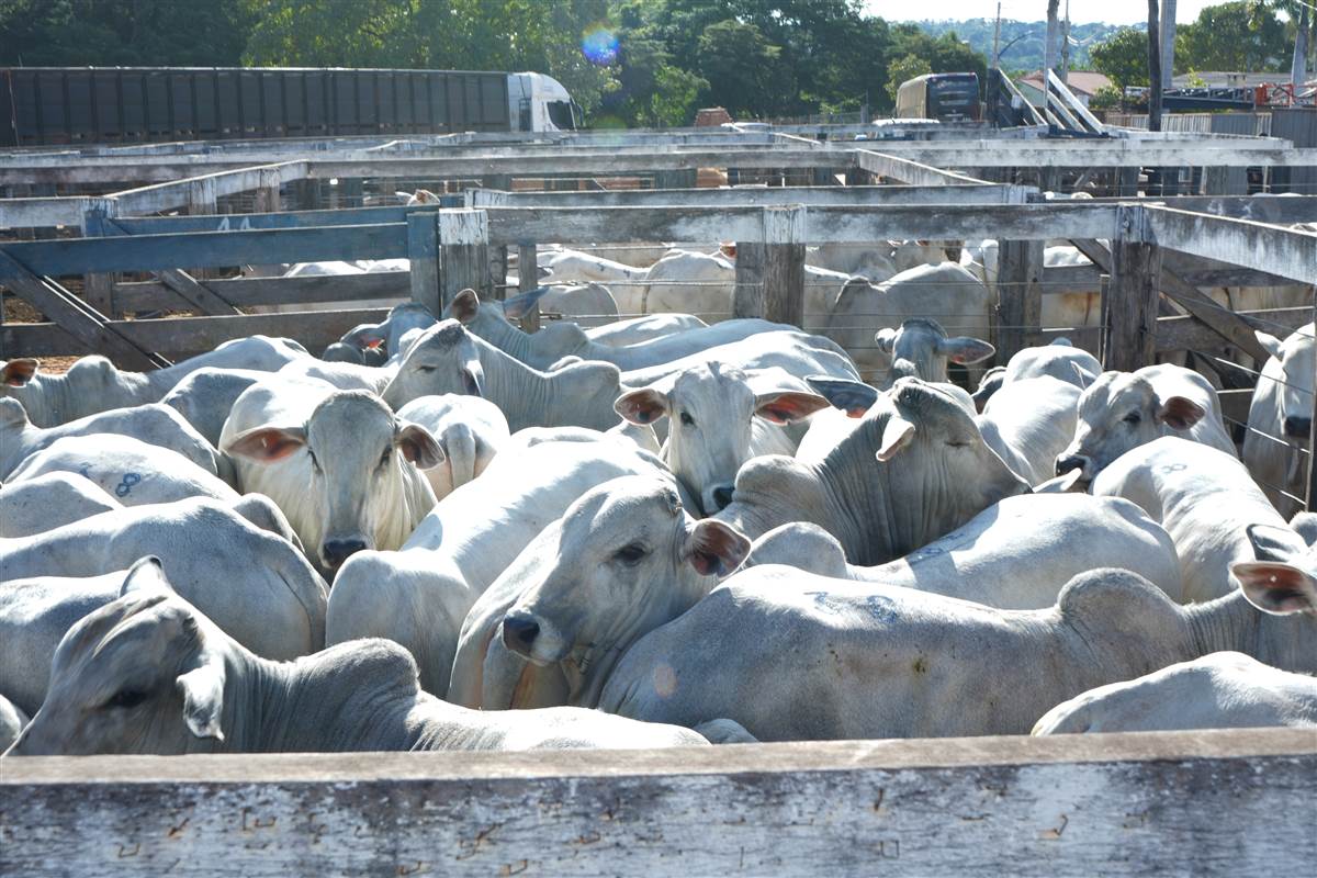 Clique para ver - Foto 1