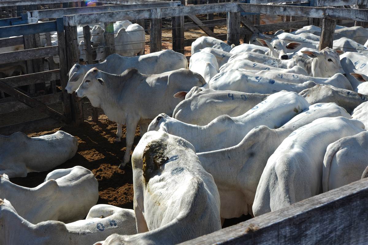 Clique para ver - Foto 0