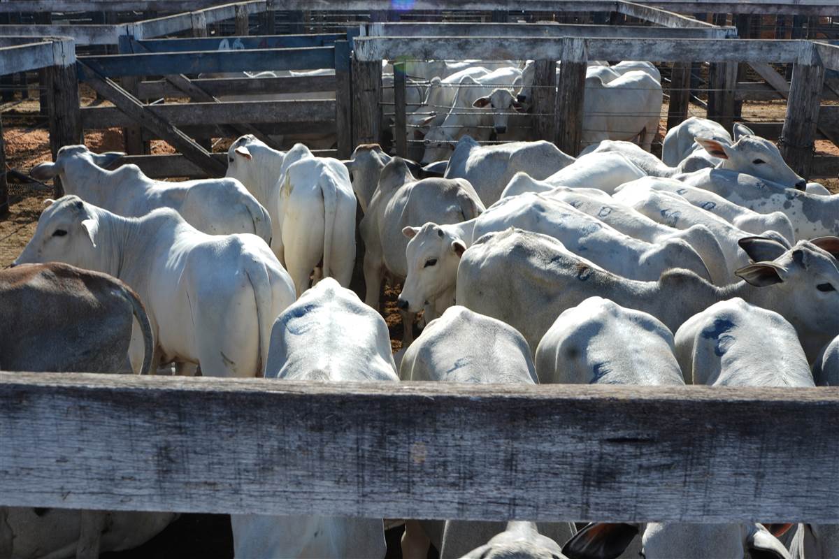 Clique para ver - Foto 1