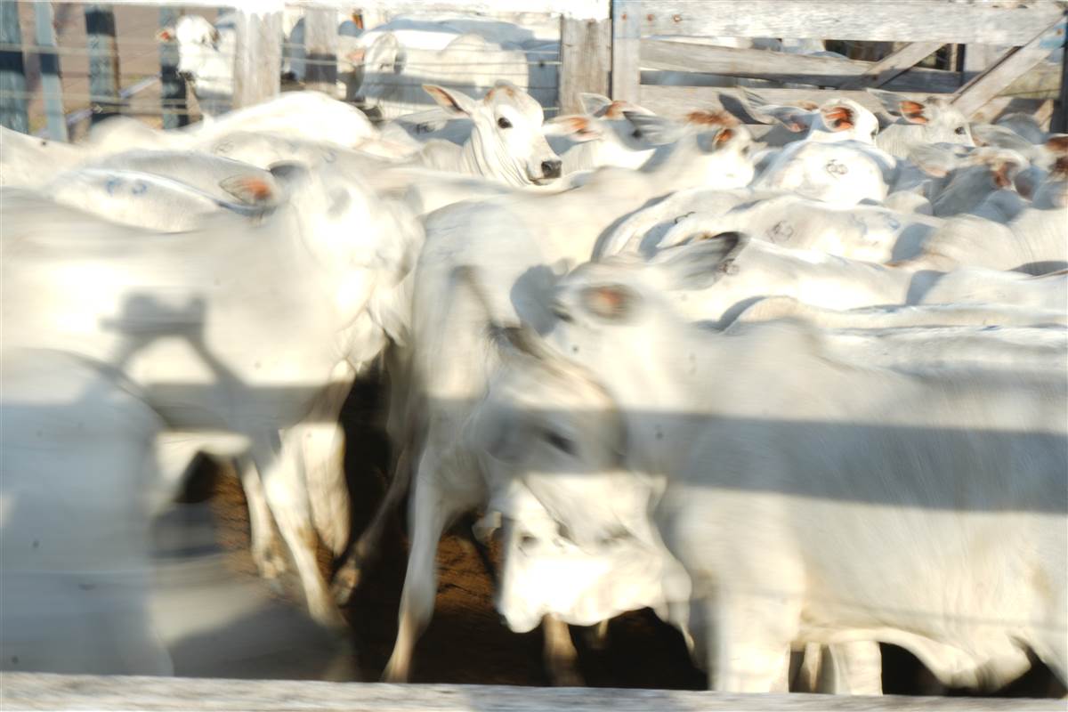 Clique para ver - Foto 1