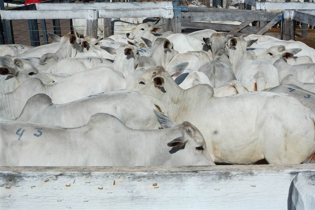 Clique para ver - Foto 1