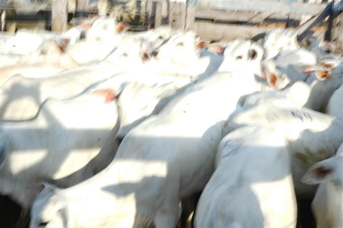 Clique para ver - Foto 1