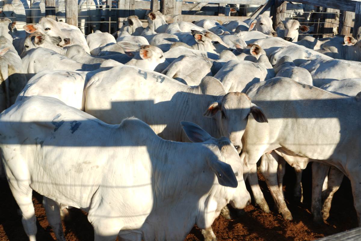 Clique para ver - Foto 0