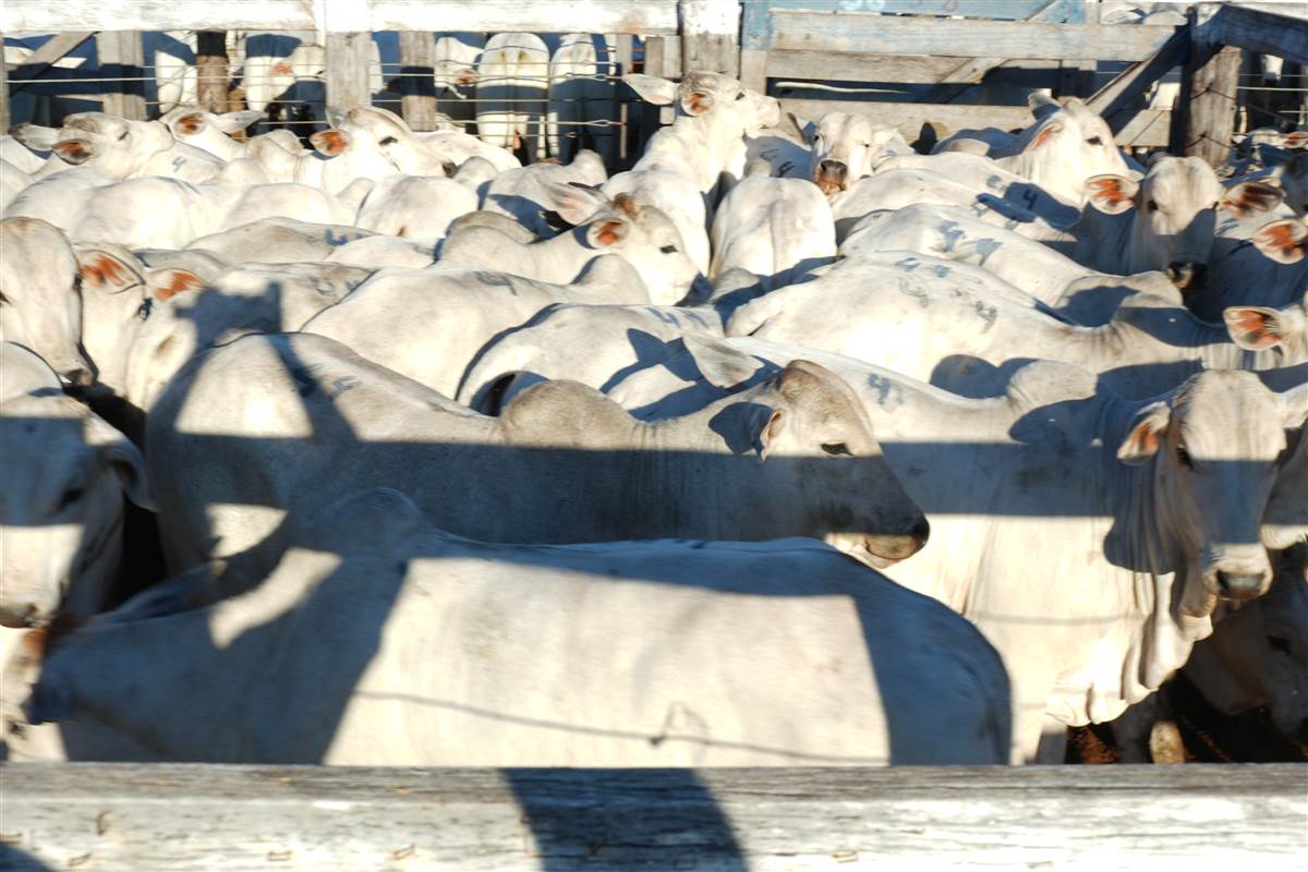 Clique para ver - Foto 1