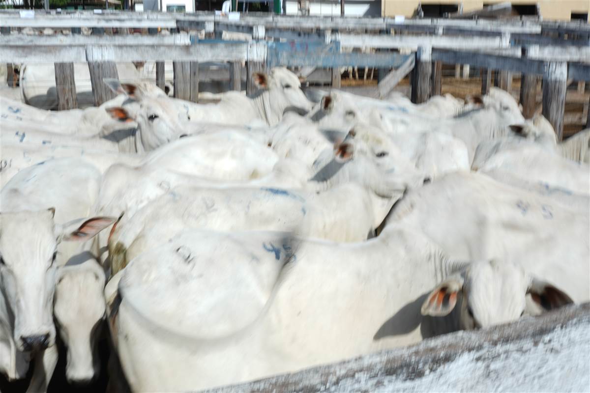 Clique para ver - Foto 0