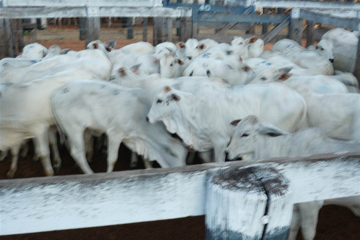 Clique para ver - Foto 1