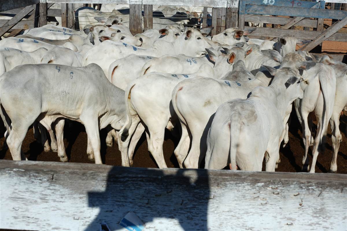 Clique para ver - Foto 1