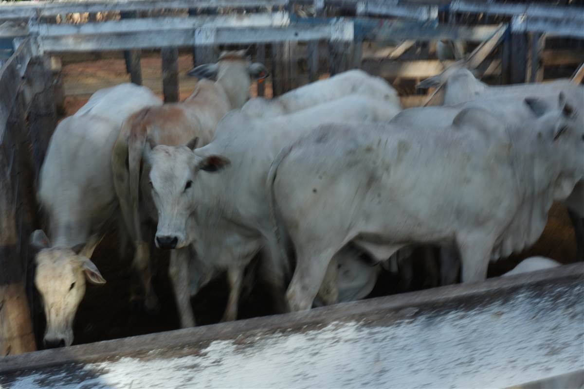 Clique para ver - Foto 0