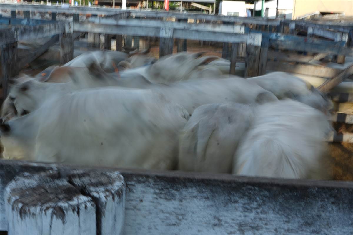 Clique para ver - Foto 1