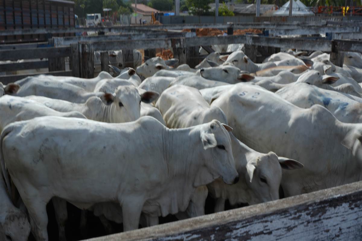 Clique para ver - Foto 0