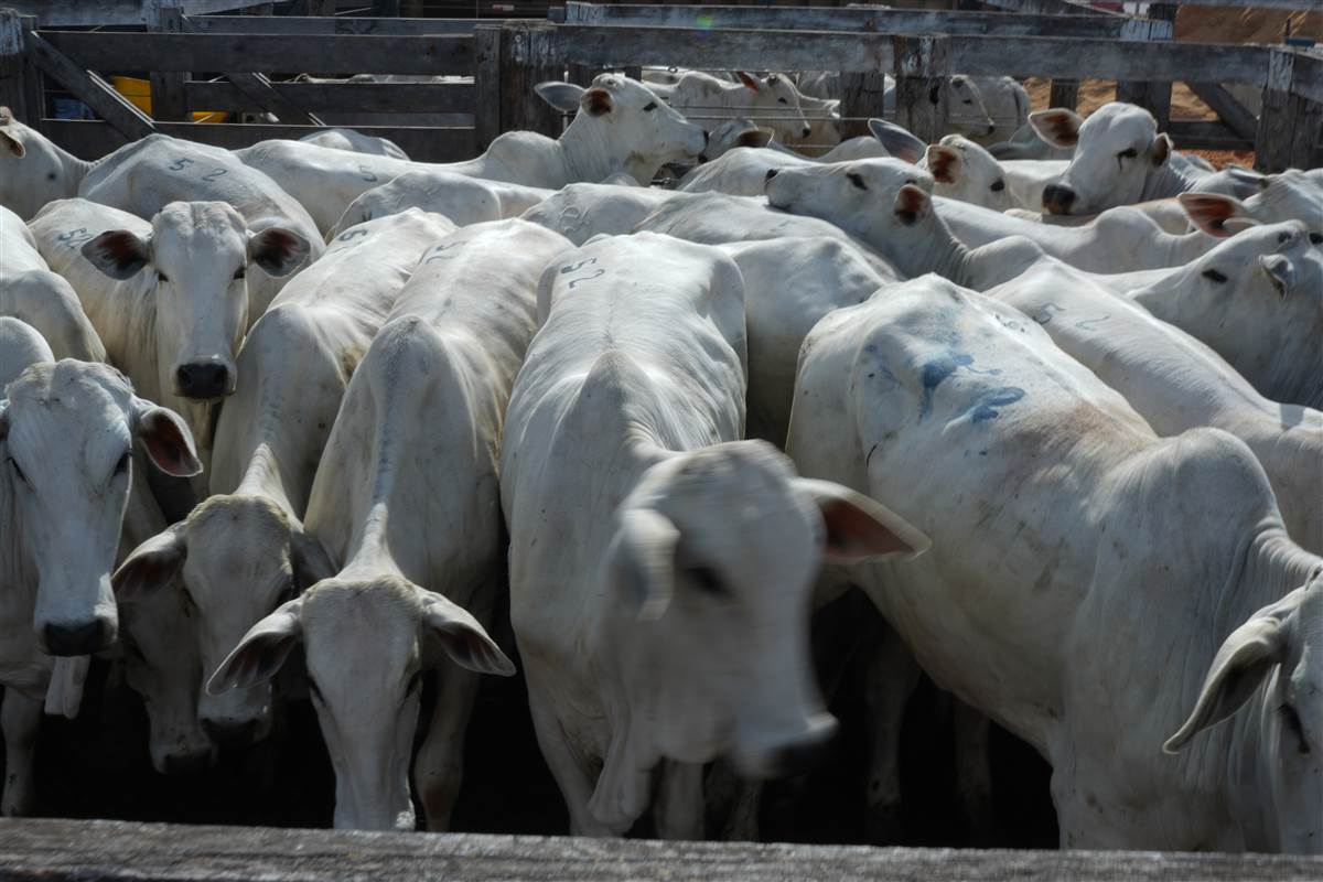 Clique para ver - Foto 1