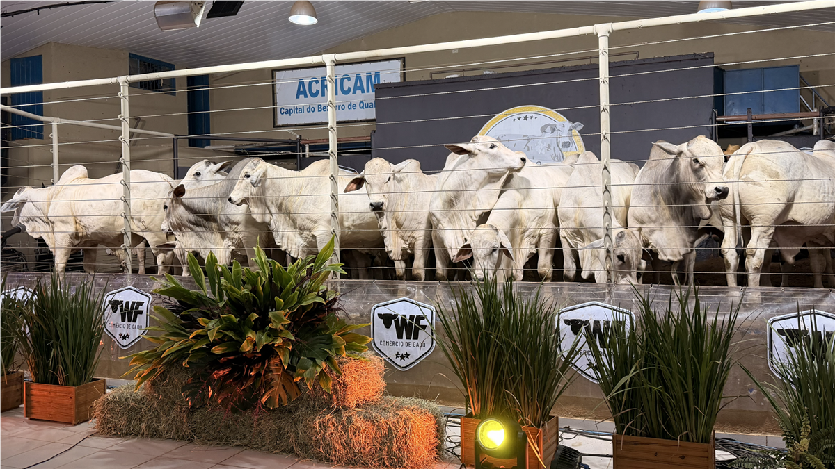 Foto do evento