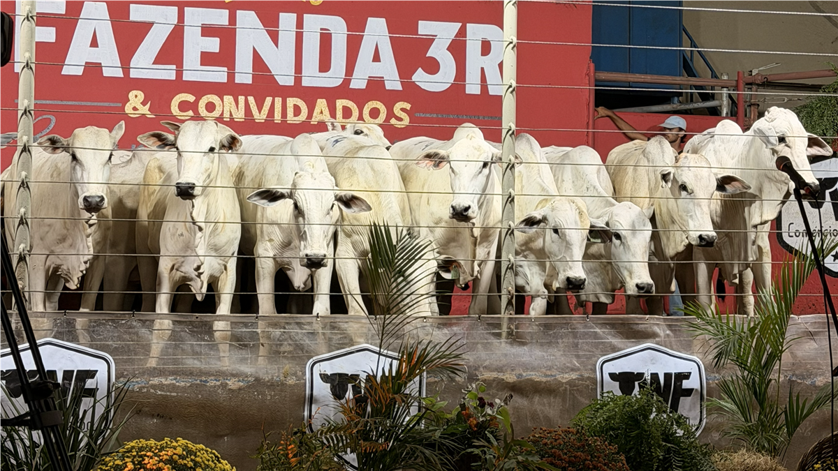 Foto do evento