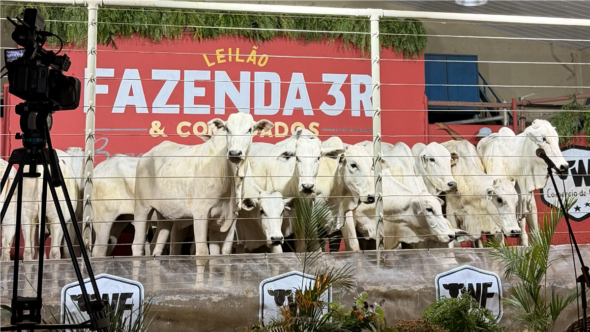 Leilão Fazenda 3R - 2026