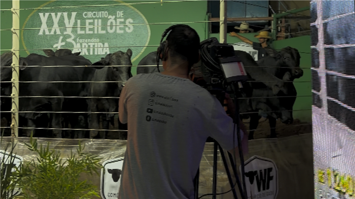Foto do evento