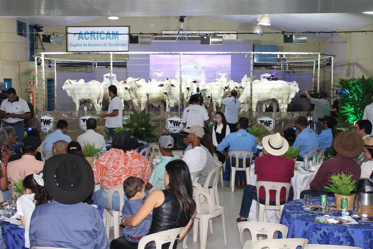 Leilão do Fazendeiro, 35 Anos